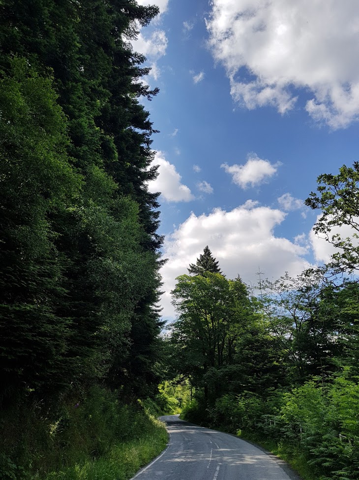 Photo of Lake Vyrnwy taken by James Allsopp